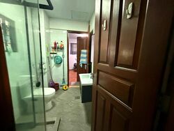 South Buona Vista Road (D5), Semi-Detached #503146751